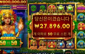 파이어버드 스피릿 50스핀