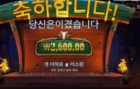 카우보이 코인즈 2콩 배팅