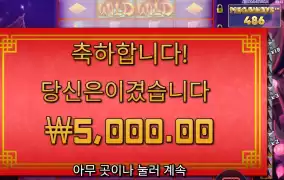 플로팅 드래곤 후기