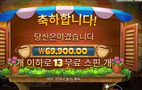 커피와일드 350배