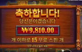 버팔로킹 １５스핀