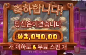 와일디즈 2천원