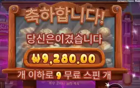 와일디즈 ９천원