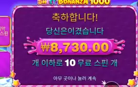 스위트 보난자 1000