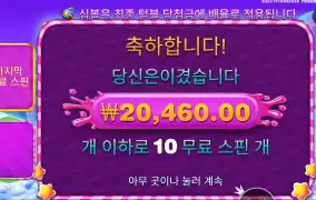 스위트 보난자 1000 2콩