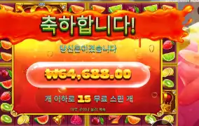 쥬시 후르츠 멀티홀드 323배