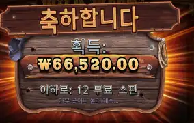 와일드 웨스트 골드 333배