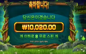 팀버 스택스 1콩