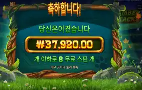 팀버 스택스 190배