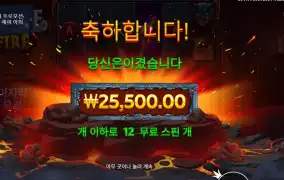 캐슬 오브 파이어 ２５천원