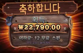 와일드 웨스트 골드 22천원