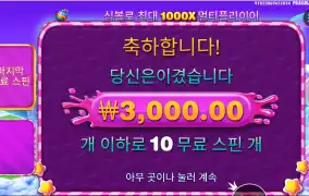 스위트 보난자 1000 3천원?!