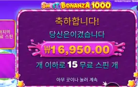 스위트 보난자 1000 10콩 배팅