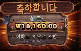 와일드 웨스트 골드 ８스핀