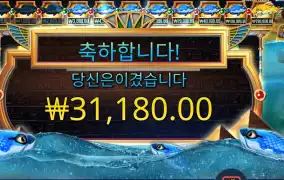 피시 아이 ３１천원