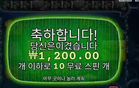 빅 배스 미션 피쉰 10스핀