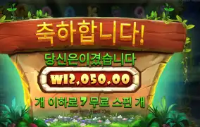 스티키 비즈 12천원