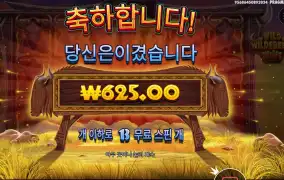 와일드 와일드비스트 윈즈 600원