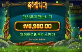 팀버 스택스 24천원 배팅