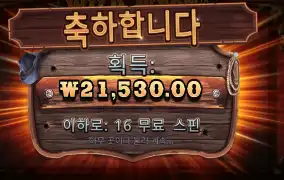 와일드 웨스트 골드 ２１천원