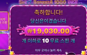 스위트 보난자 １００ 다이스 본전치기