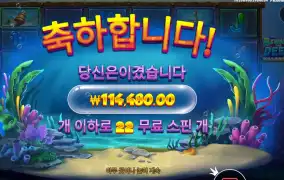 비웨어 더 딥 메가웨이즈 ２８６배