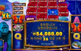 콩고 캐시 １３５배
