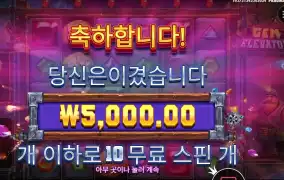 젬 5천원 ?