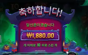 인펙티드 와일드 １０스핀