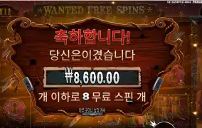 더 와일드 갱 ８스핀