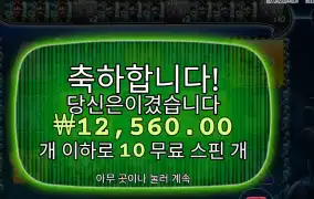 온라인슬롯 빅 배스 미션 피쉰