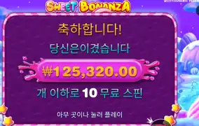 스위트 보난자 12콩