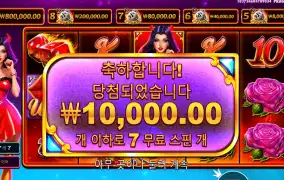 데빌리어스 1콩