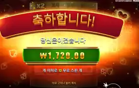 포춘 에이스 12바퀴