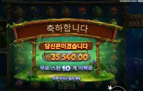 후르츠 오브 더 아마존 ３５천원