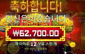 트리플 팟 골드 156배