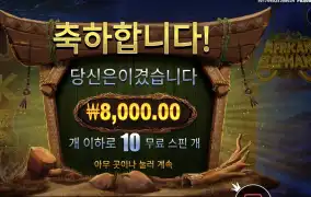아프리칸 엘리펀트 후기