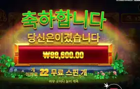 휠 오골드 ２２１배