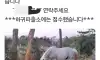 제주도 당근마켓 클라스