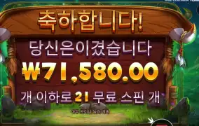 릴리즈 더 바이슨 １７９배