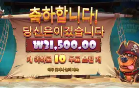 머틀리 크루 31천원