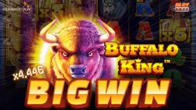 버팔로 킹 x4,446배 빅윈!! [프라그마틱]