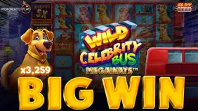 와일드 셀러브리티 버스 메가웨이즈 x3,259배 빅윈!! [프라그마틱]