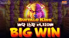 버팔로 킹 바닥 1스핀 🔥당첨금 430만원🔥 빅윈!! [프라그마틱]