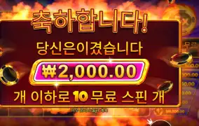 프라그마틱 캐시 칩스