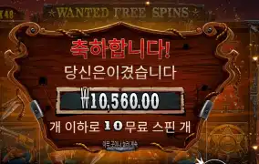 프라그마틱 더 와일드 갱 수배