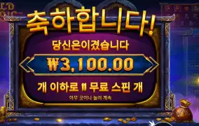 오아시스 2콩 배팅