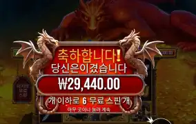 슬리핑 드래곤 29천원