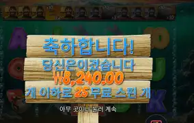 보난자 1000 8천원