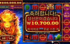 파이어 스탬피드 ２０스핀